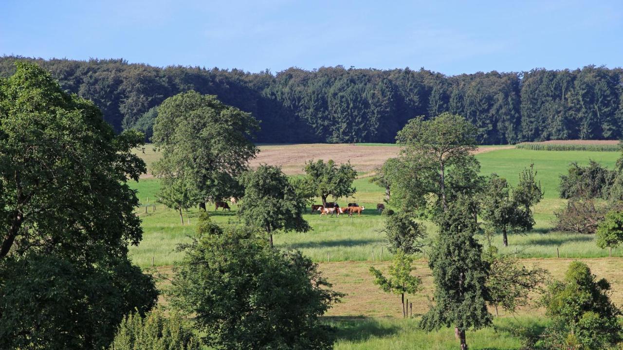 Ferienhof Knoll Lindenfels ภายนอก รูปภาพ