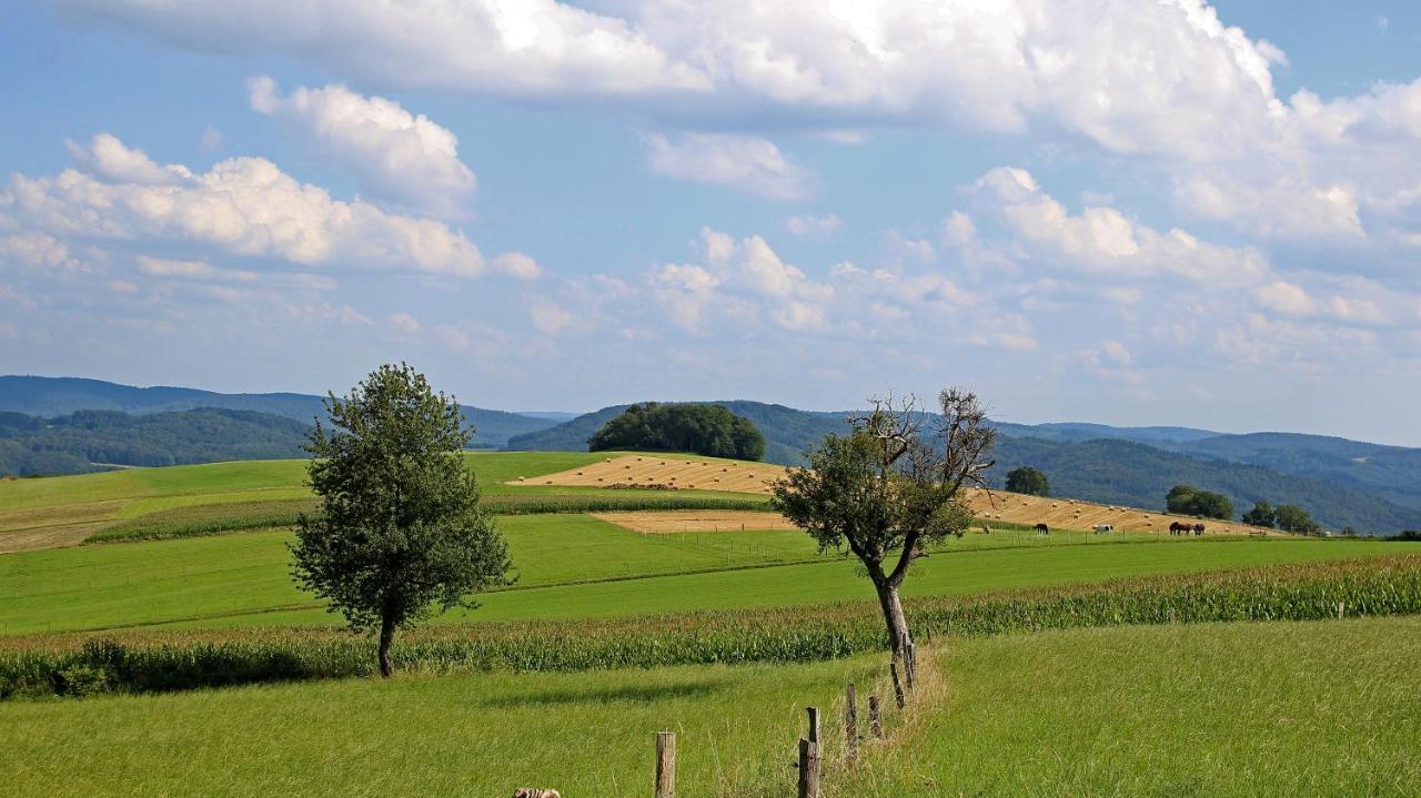 Ferienhof Knoll Lindenfels ภายนอก รูปภาพ